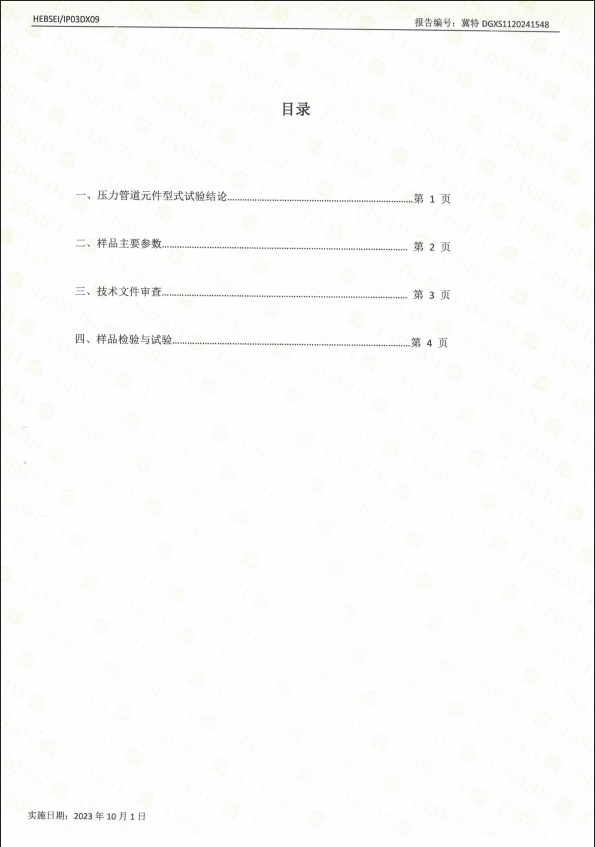 特種設(shè)備型式試驗報告16